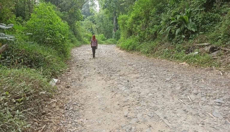 Perjuangan Pelajar SMPN 2 Gegerbitung Sukabumi, ke Sekolah Jalan Kaki Lewat Hutan