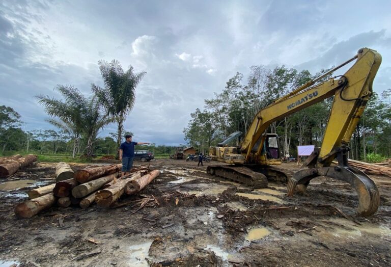 Marak Pencucian Kayu Gakkum Kehutanan Amankan Eksavator dan kayu Bulat di TPK PHAT Tapanuli Selatan Sumatera Utara